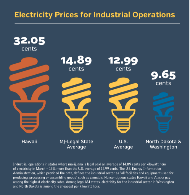 Screen Shot 2018-07-31 at 3.52.39 PM